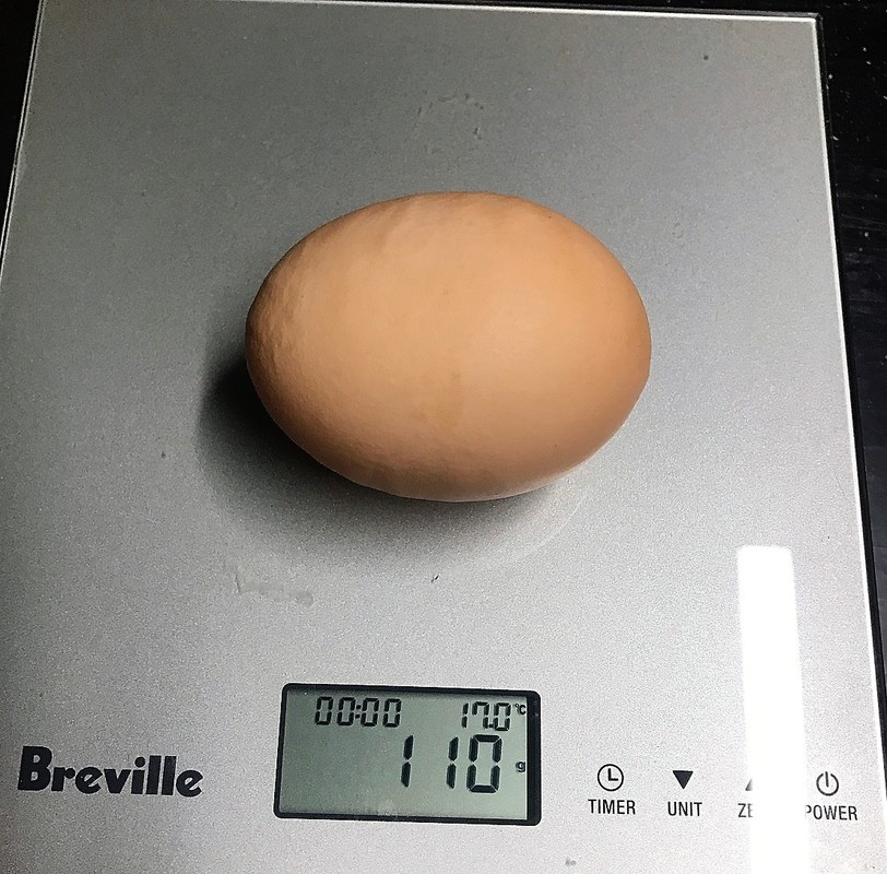 Hilltops pastured eggs, biggest egg, record egg, 110g weight one egg